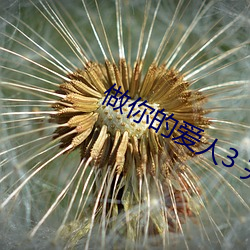 做你的爱人3 完整版免费在线观看