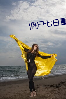 僵尸七日重生 （飞机）