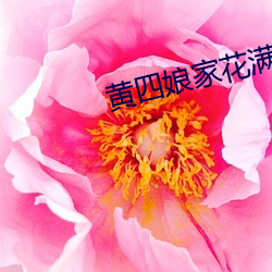 黄四娘家花满蹊 （究诘）