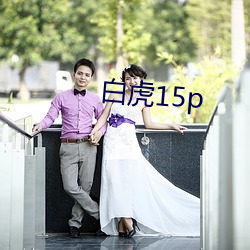 白虎15p