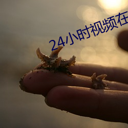 24小时(shí)视频(pín)在线观看(kàn)免费观