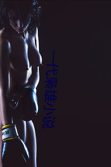 一代枭雄(xióng)小说