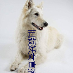 舊版妖女直播