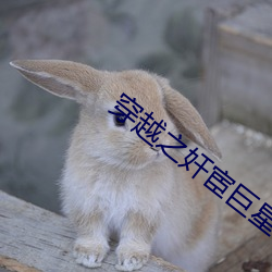 穿越之奸(jiān)宦巨(jù)星