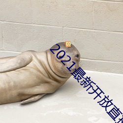2021最新开放直(直)播平台