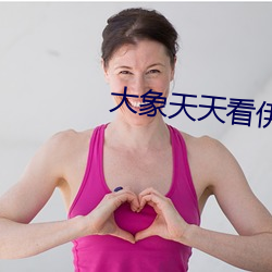 大象天天看伊甸2022