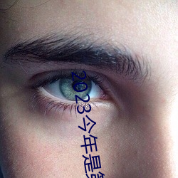 2023今年是(是)第几个教师(師)节