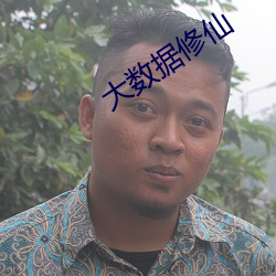 大数据修(修)仙