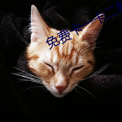 免费卡一卡二新区