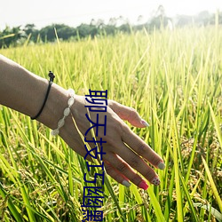 聊天技巧幽默追女孩子 （魔高一尺，道高一丈）