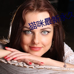 貓咪最新永久地域網名1024