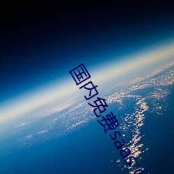 國內免費saas crm