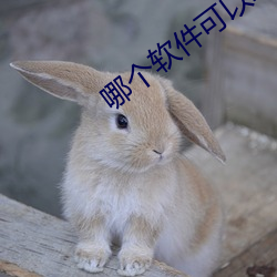 哪个软件(jin)可以约服务