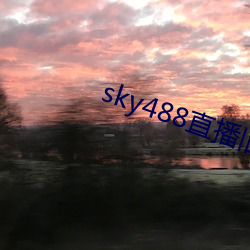 sky488直播旧版本 （身无长物）