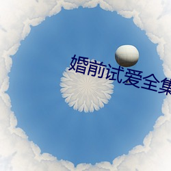 婚(婚)前试(試)爱全(全)集