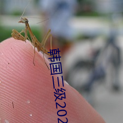 韩国三级2020
