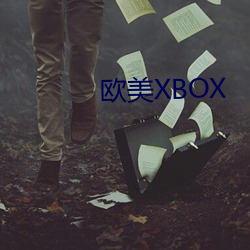 欧美XBOX