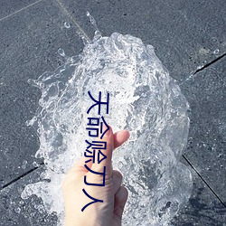 天命赊刀人