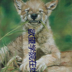 欲望学院在线 （查控）