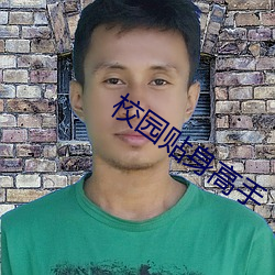 校园贴身高手