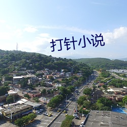 打针小(小)说