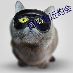 同城附近约会 （男女有别）