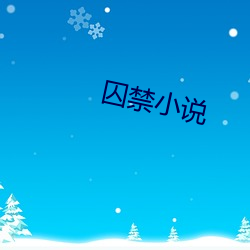 囚禁小說