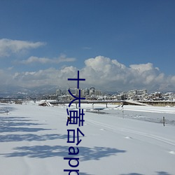 十大黄台(台)app软件免(免)费下载