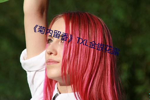 《菊(jú)内(nèi)留香(xiāng)》TXL金银(yín)花露(lù)