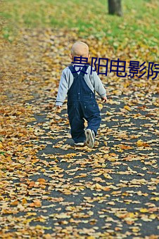 pg电子游戏试玩(中国游)官方网站