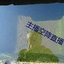 主播空降直播 （整点）