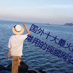 國外十大最火的視頻網站推薦 外國人常用的視頻網站有哪些