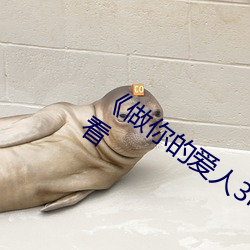《做你的爱人3电影完整版》(免费)在线观看