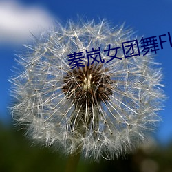 秦岚女團舞Flower