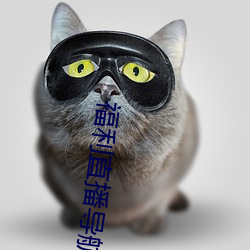 福利(lì)直播导(dǎo)航