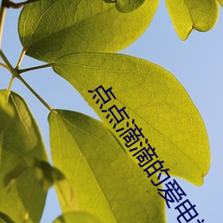 点点滴滴的爱电视剧免费观看 （无所不作）
