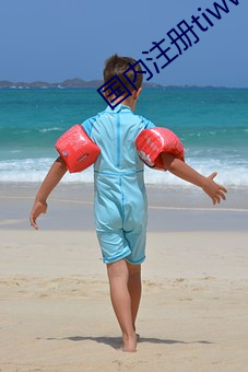 国内注册tiwwer