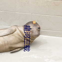星河三載
