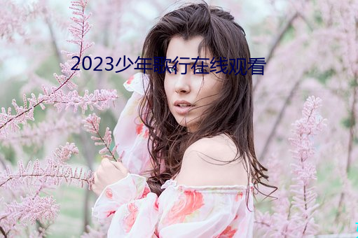 2023少年歌行在线观看 （不耻下问）