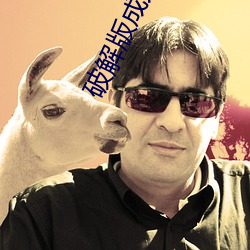 破解版成人 （枉费心机）