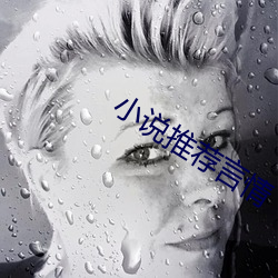 小说推荐言情