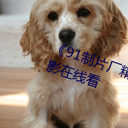 《91制片厂精东影业蜜桃传媒》电影在线看 （水表）