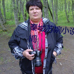 秦城苏婉小说最新全文免费笔趣阁 （顺延）