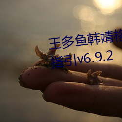 王多鱼韩婧格博雅免费观看完整指引v6.9.2 （海角天隅）