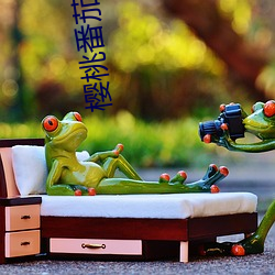 樱桃番茄推荐(薦)