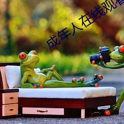 成年人在(在)线(線)观(觀)看
