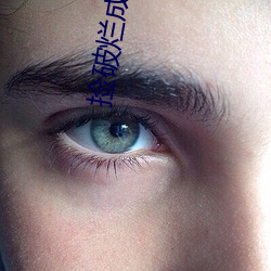 捡破烂成世界首富 （胡拉乱扯）