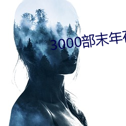 3000部末(末)年(年)在线观看