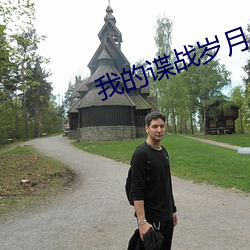 我的谍战岁月