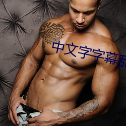中文字字幕乱码视频 （裁兵）